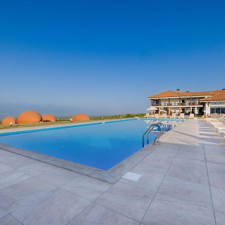 Hotel Qvevrebi Телаві Екстер'єр фото